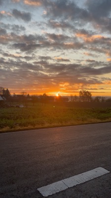 Annalena's profile photo - Travel enthusiast who has visited 5 countries