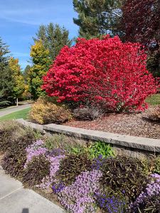 Avatar de dailyjewels