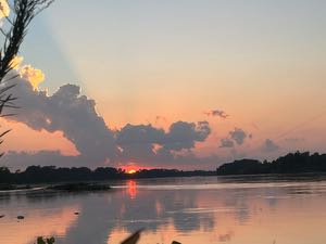 ADHD-squirrel avatar