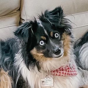 anxiouspotato avatar