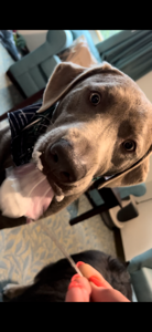 Аватар alltracksmind