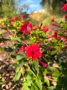 Avatar de JennarationX