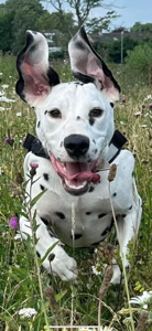 Аватар RubyRoseRed