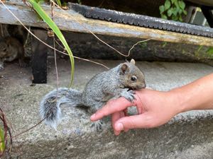 Avatar de BRIDGEBURNER