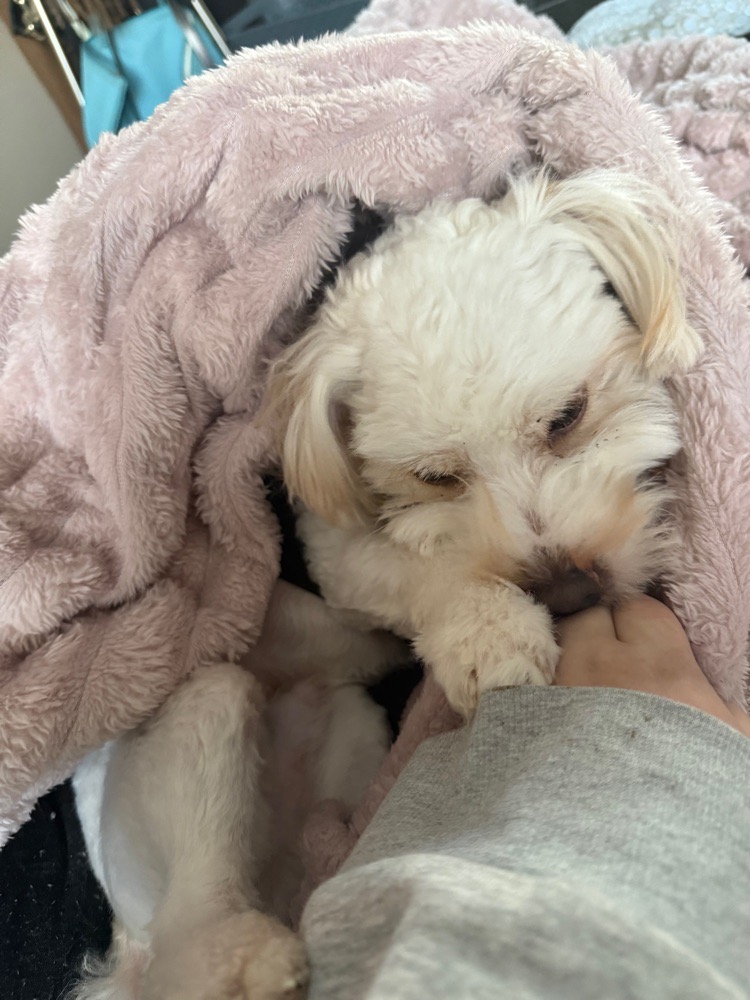 Avatar di notlistening