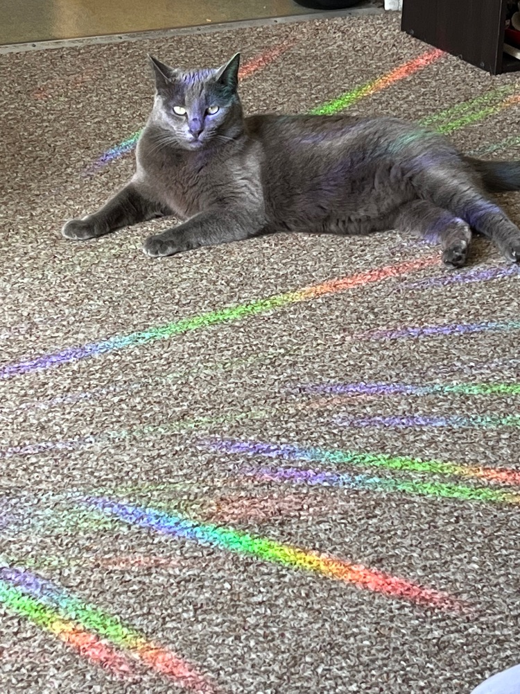 Аватар redwoodmeow