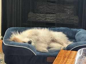 Avatar di getme2thegym