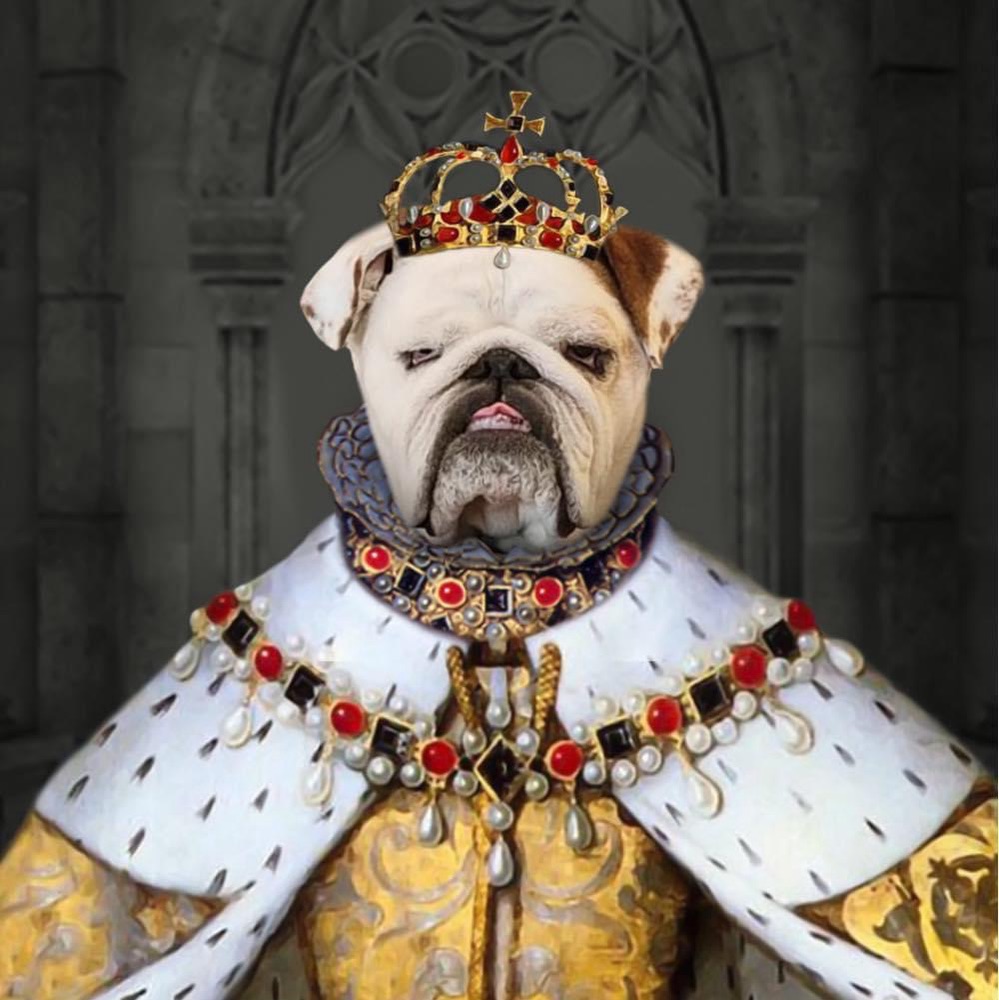 Avatar di bulldogrescuer