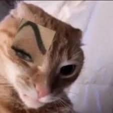 manicphase avatar