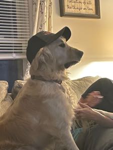 Avatar di ju1iam0ore