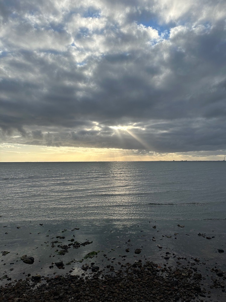 angelunlikely avatar