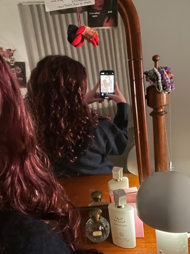 Chocolate moose avatar