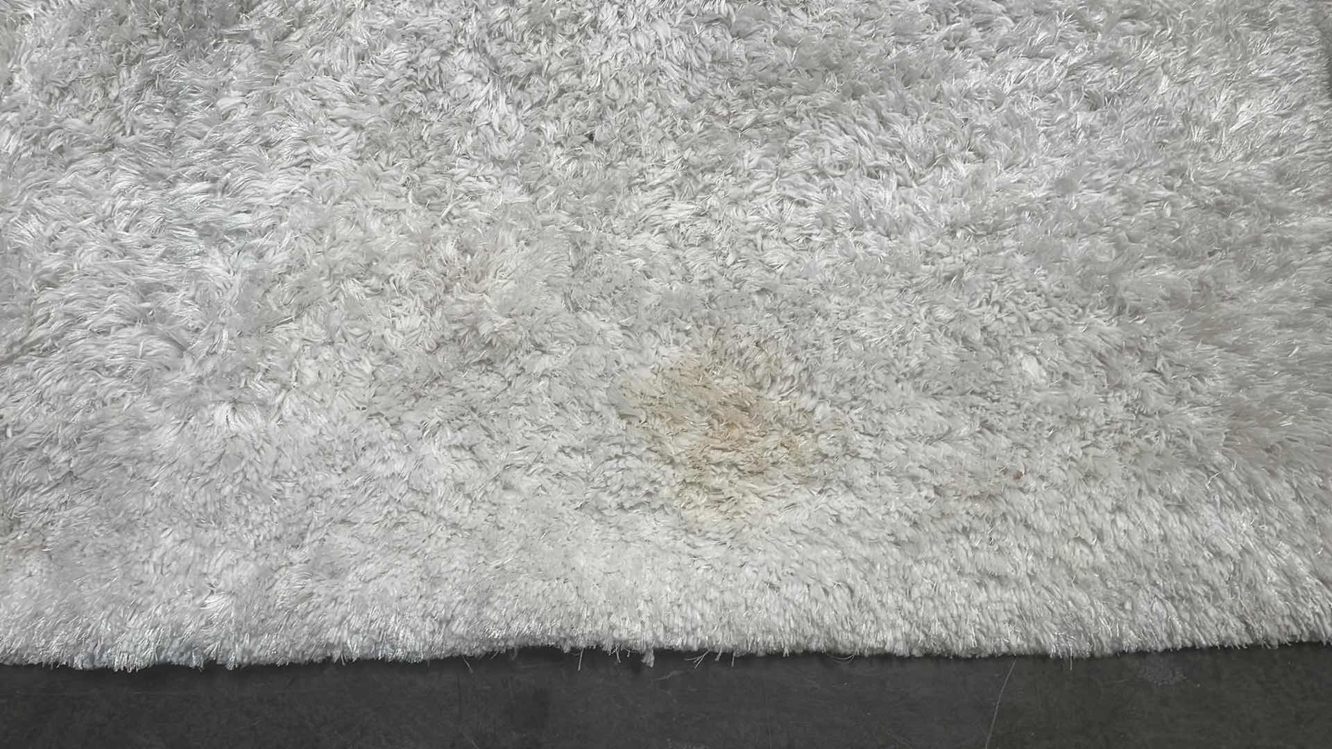 Photo 3 of 8’ x 10’ SHAGG AREA RUG