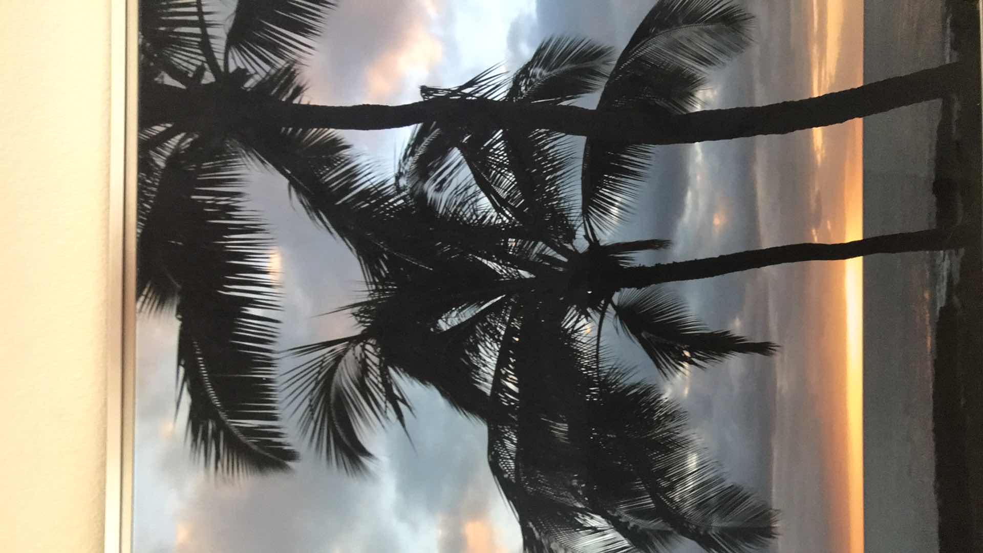 Photo 2 of SILHOUETTE OF PALMS CRAMED 30” X 40”
