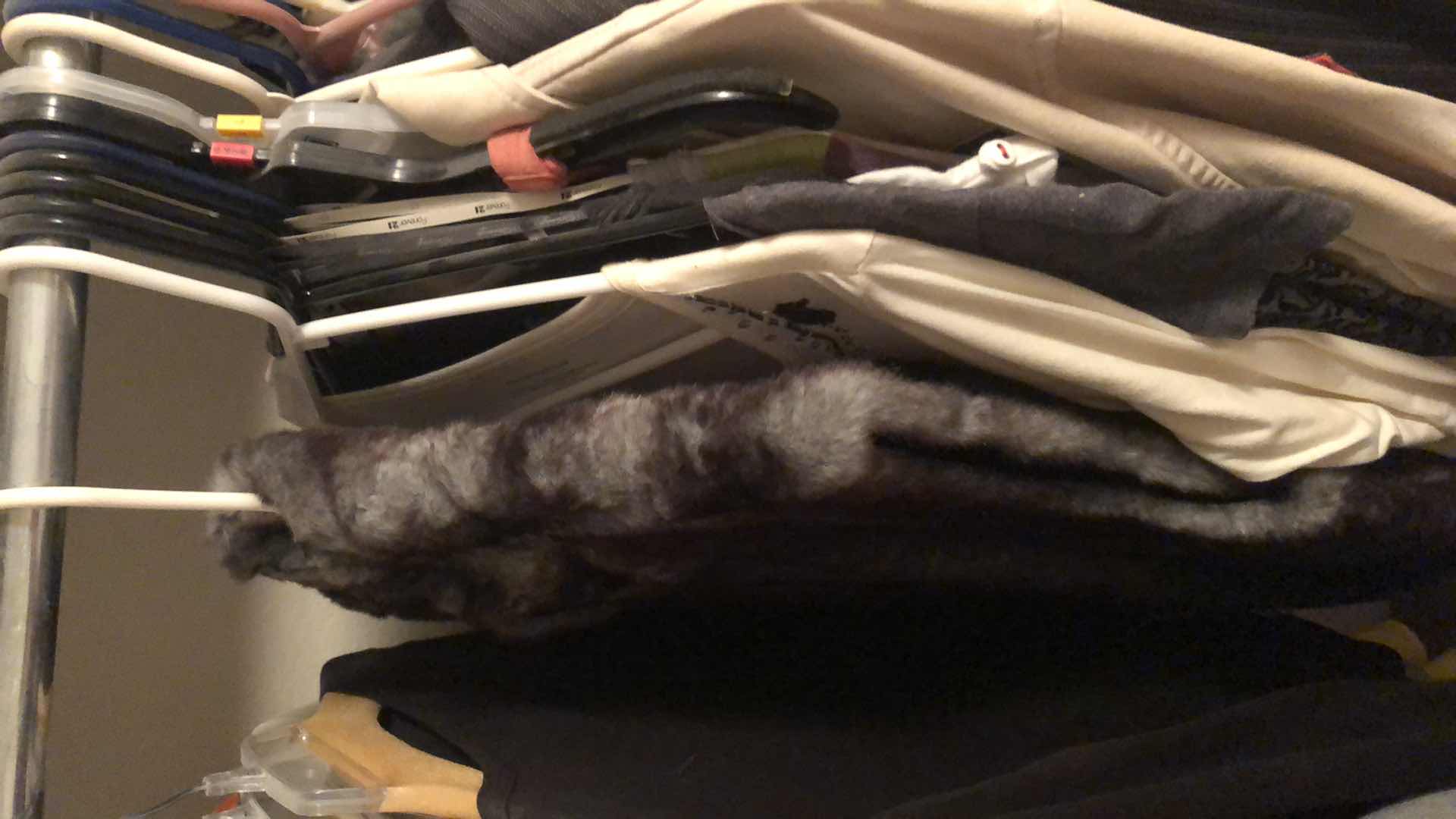 Photo 8 of WOMENS CLOTHING, ENTIRE ROD, RIGHT SIDE CLOSET,MOSTLY MED