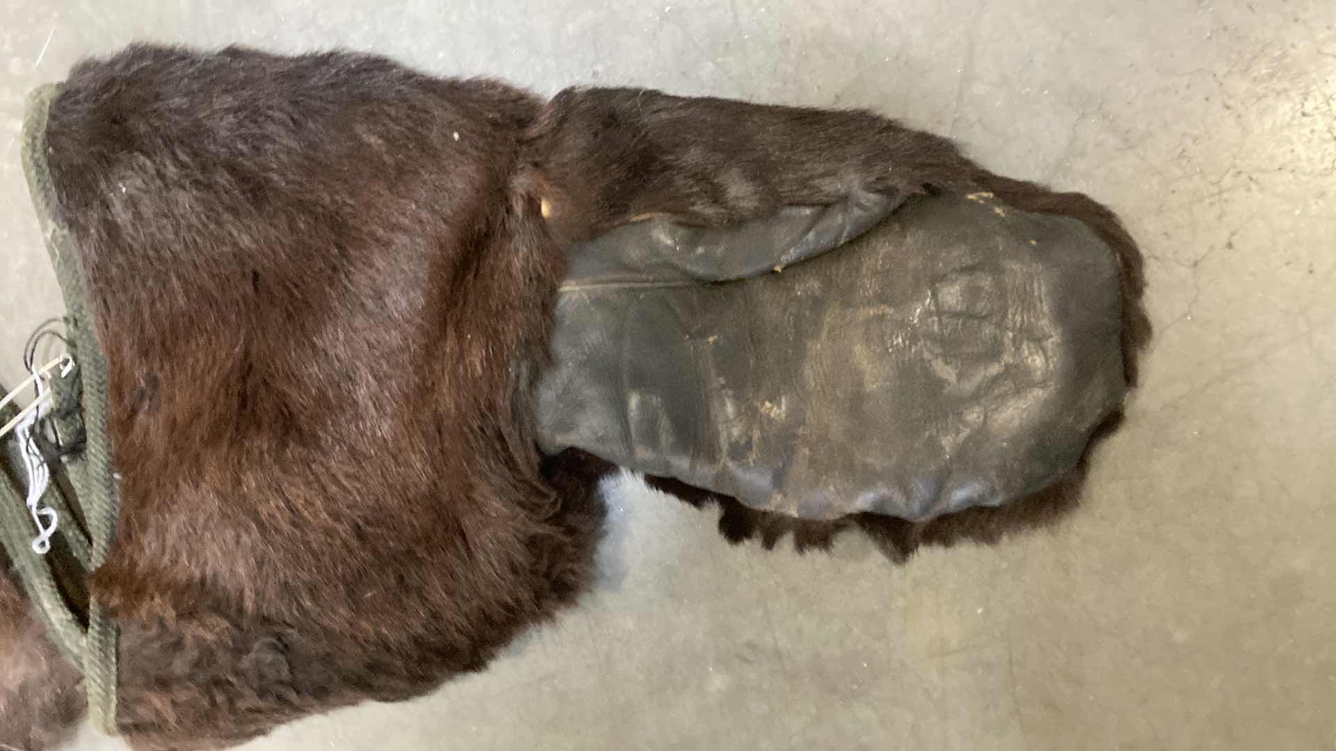 Photo 3 of BEAVER FUR MITTENS (2) 9” X 15”