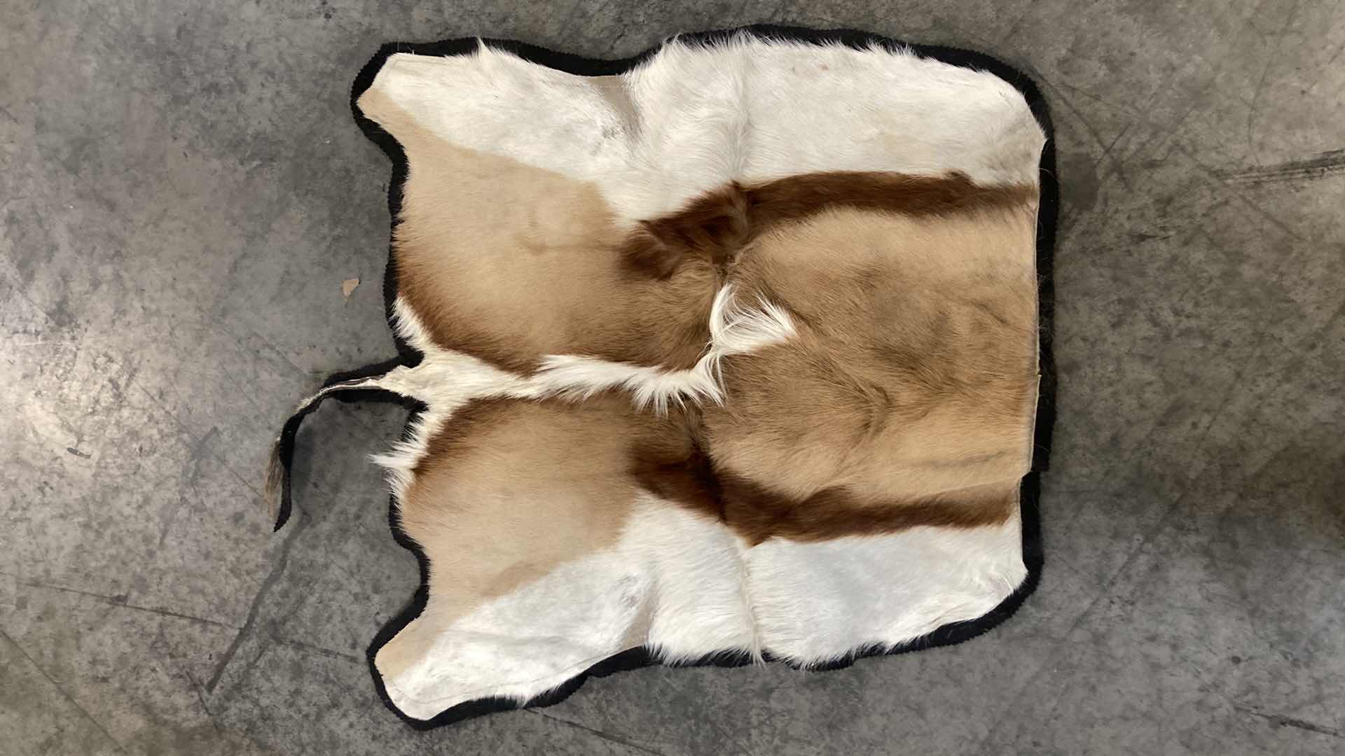 Photo 2 of COW PELTS (2) 36”