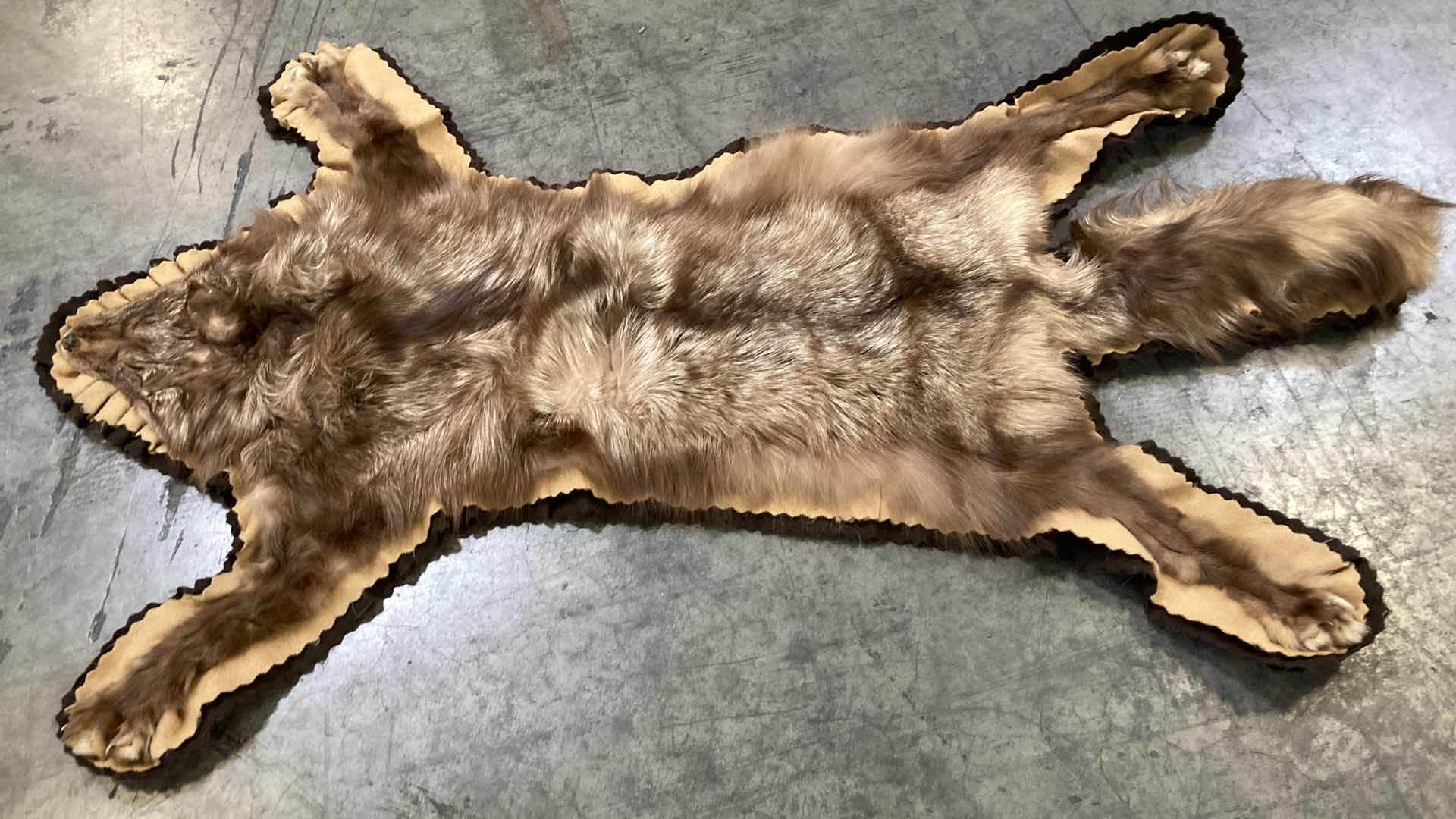 Photo 4 of FOX PELT 46”