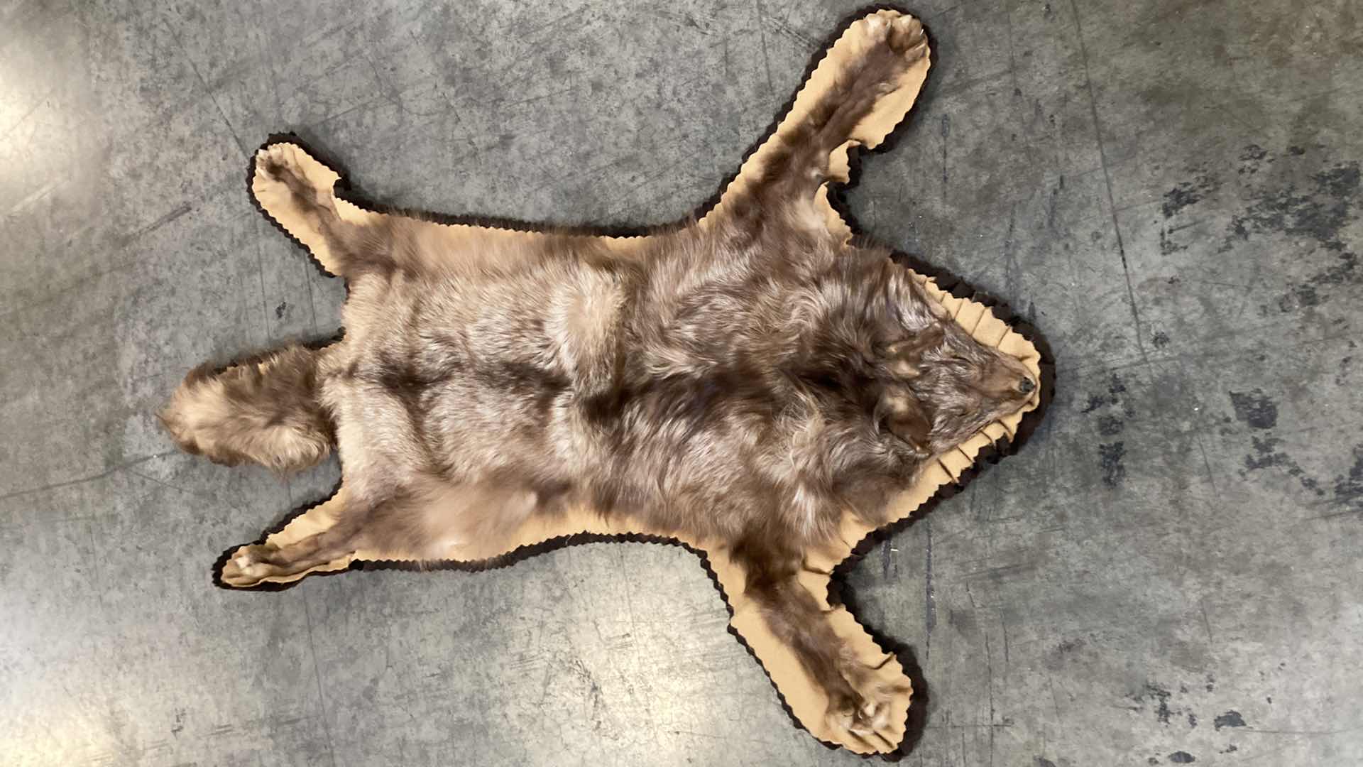 Photo 1 of FOX PELT 46”