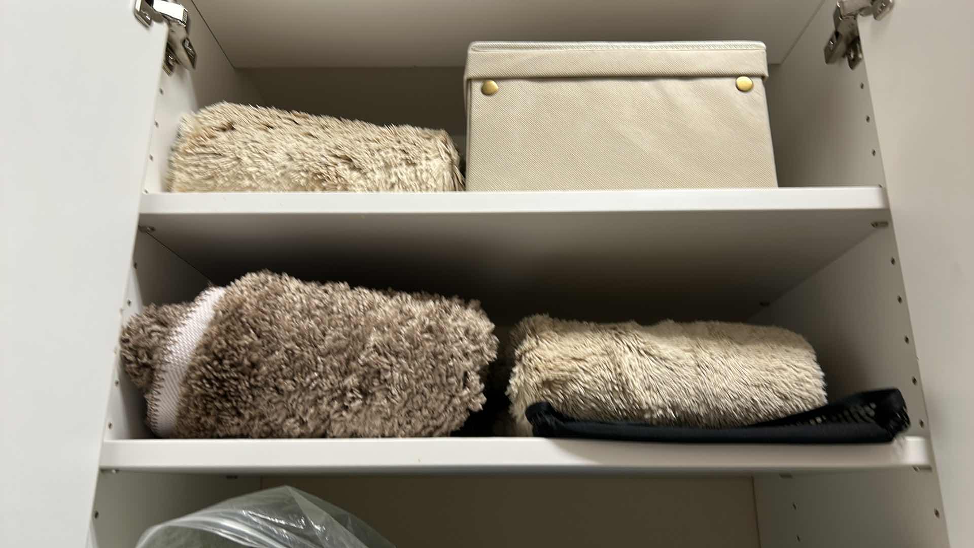 Photo 8 of Contents of cabinet in walk-in closet