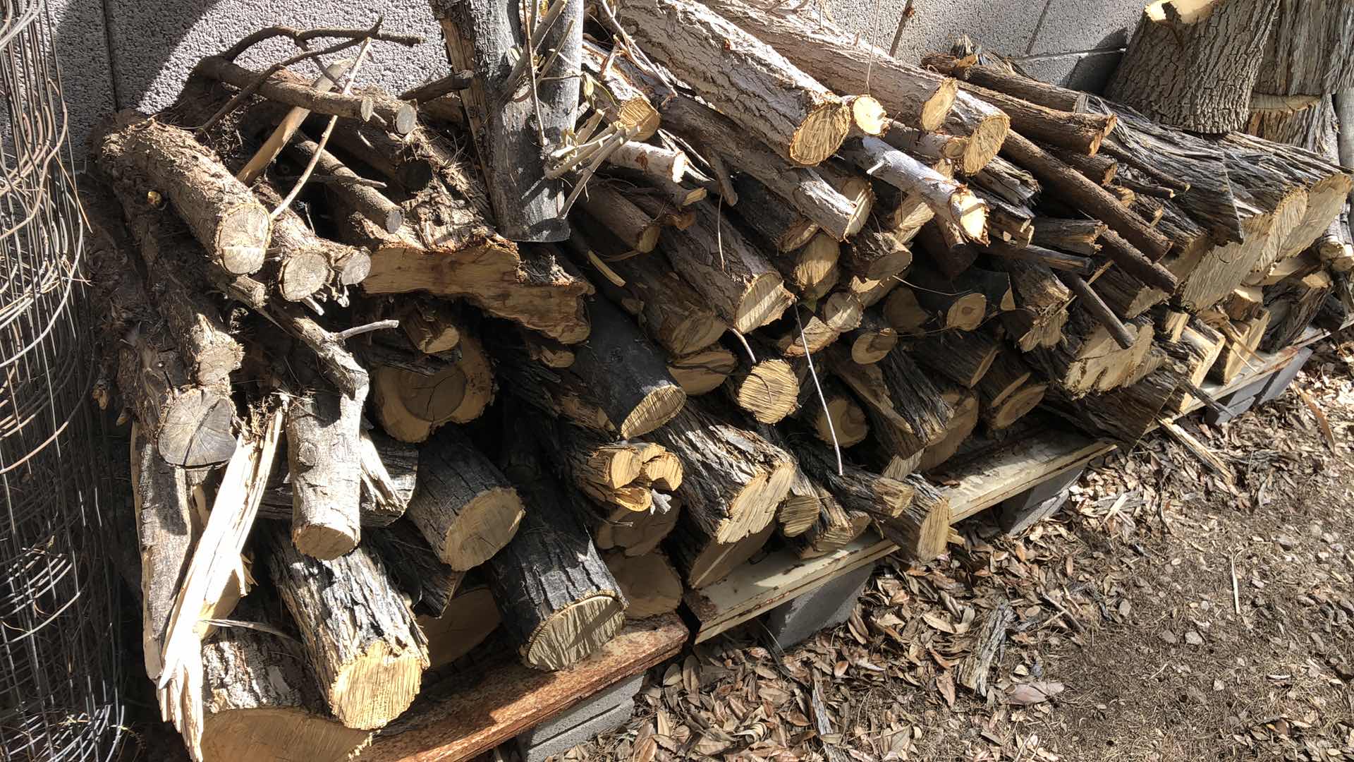 Photo 1 of FIREWOOD