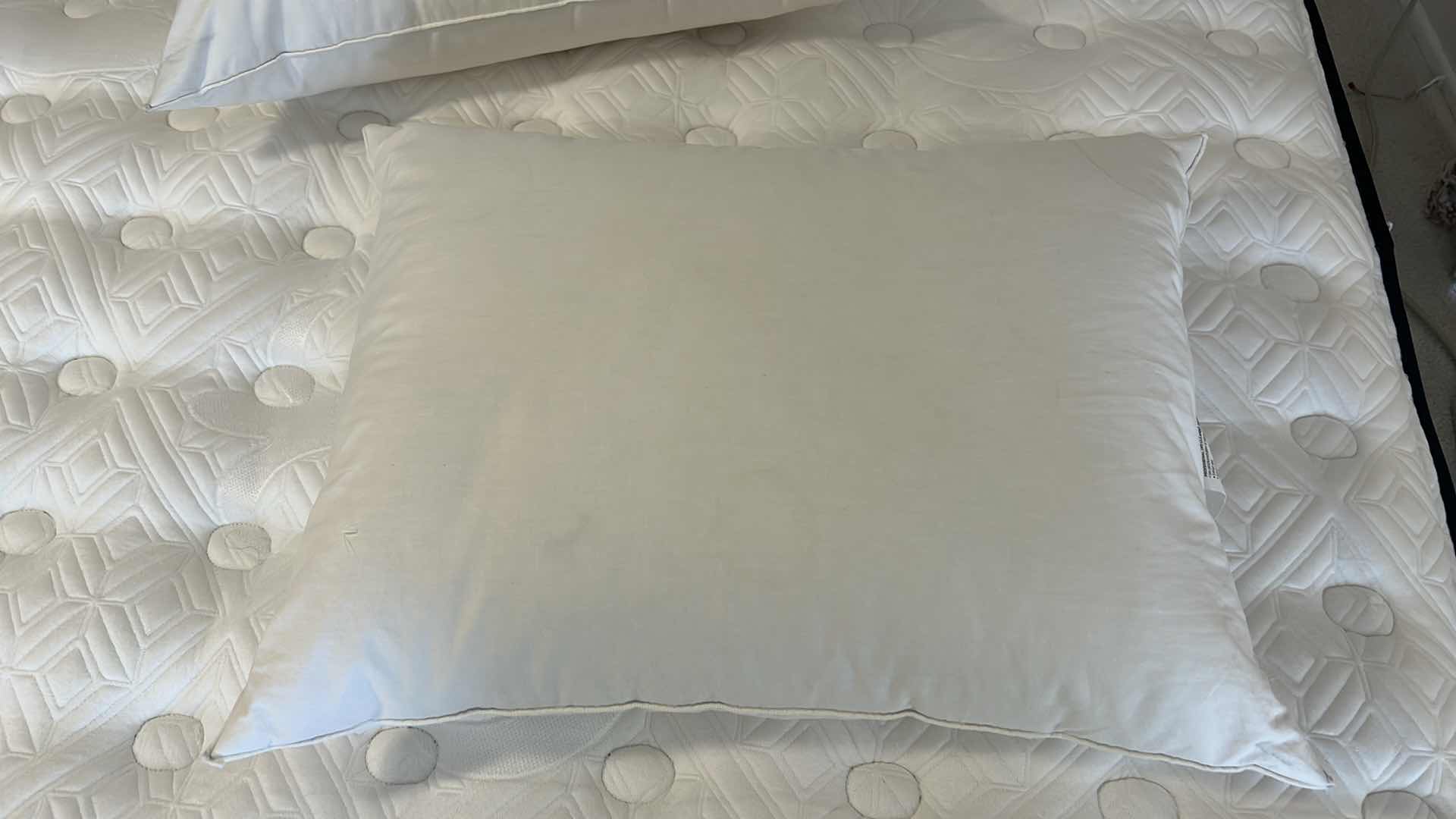 Photo 3 of 2 DUCK FEATHER DOWN PILLOWS - REG SIZE