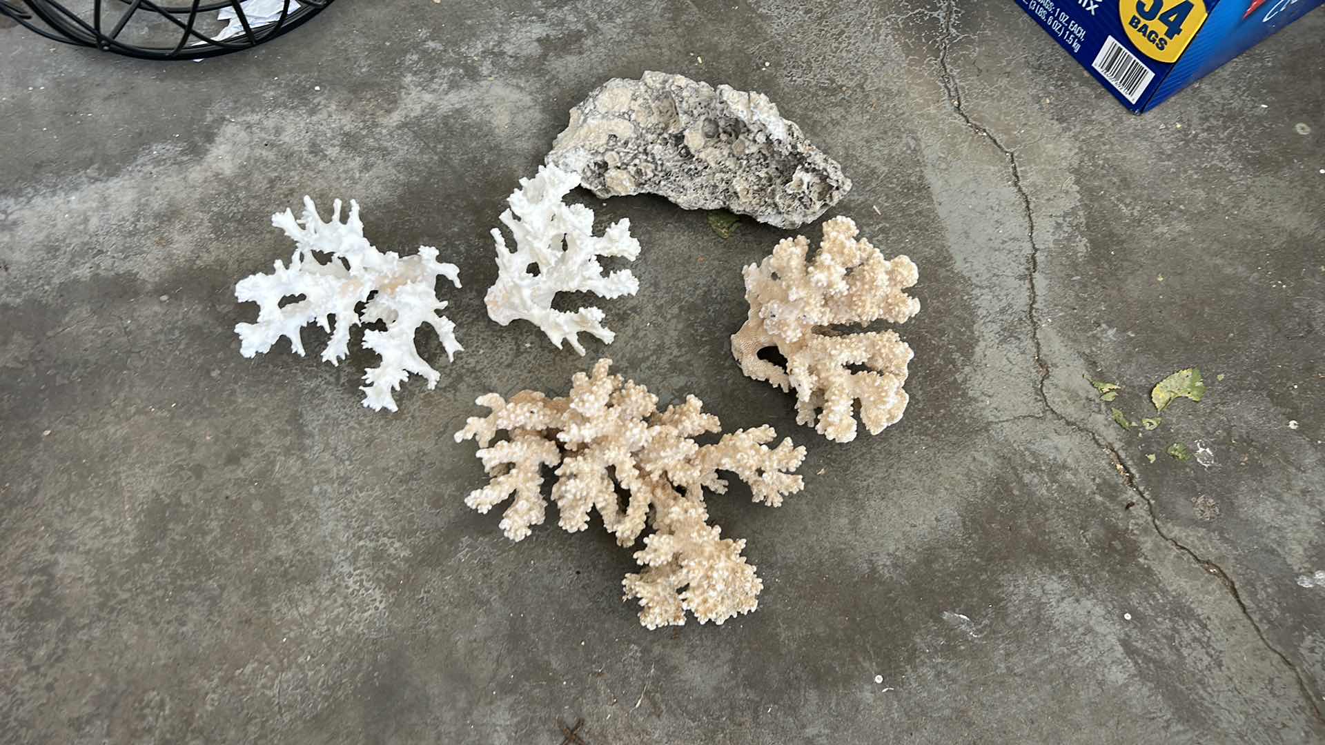 Photo 7 of CORAL COLLECTION