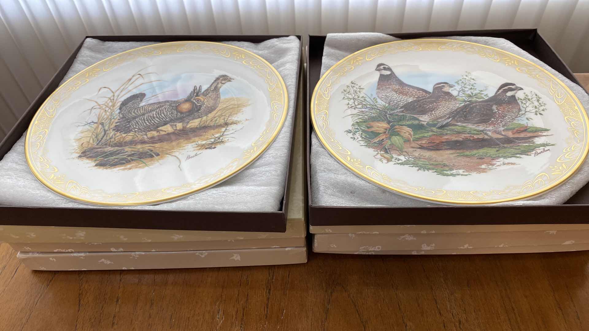 Photo 1 of 8-BOEHM PORCELAIN COLLECTOR PLATES 10.5”