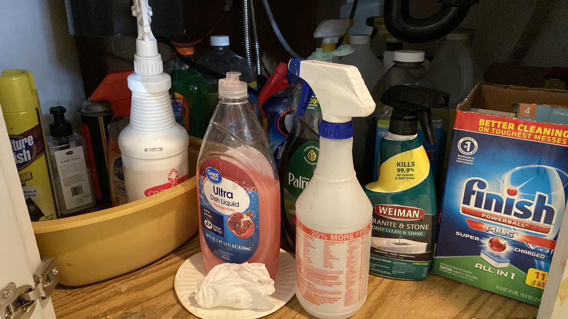 Photo 1 of CONTENTS UNDER KITCHEN SINK CLEANING SUPPLIES