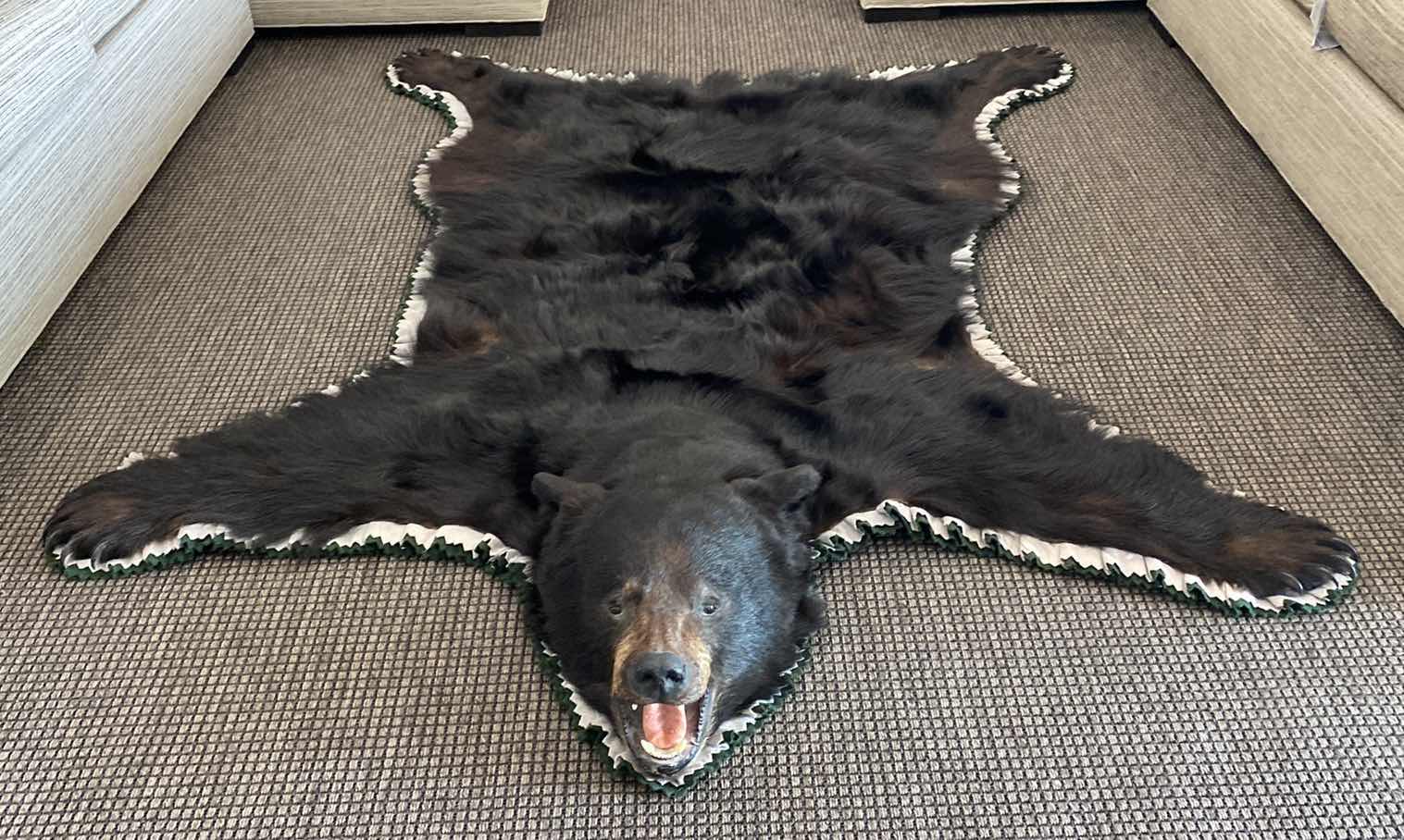 Photo 1 of LARGE BLACK BEAR RUG FROM VANCOUVER ISLAND, BRITISH COLUMBIA 76 1/2” x 65”