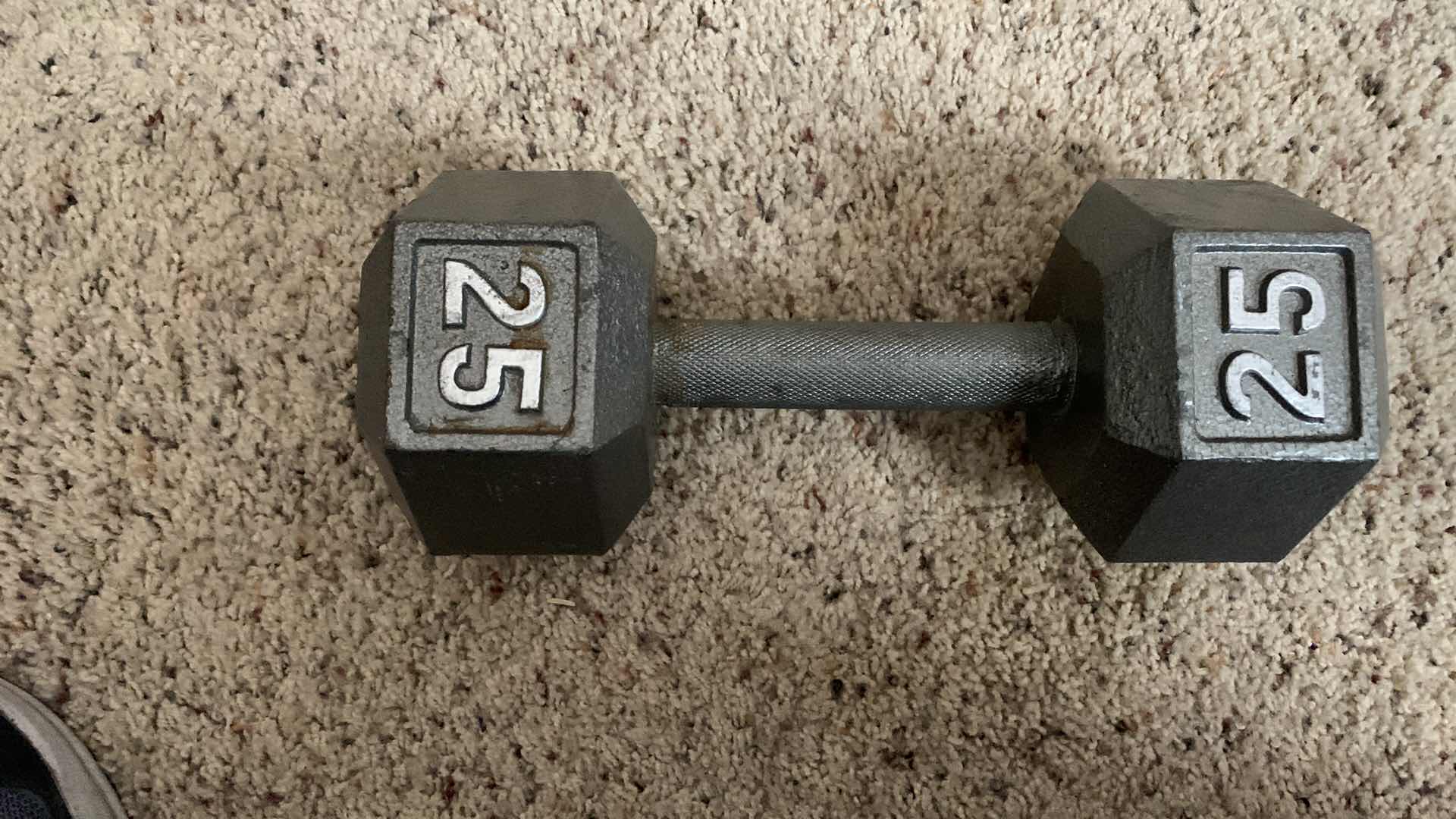 Photo 1 of TWENTY FIVE POUND DUMBBELL