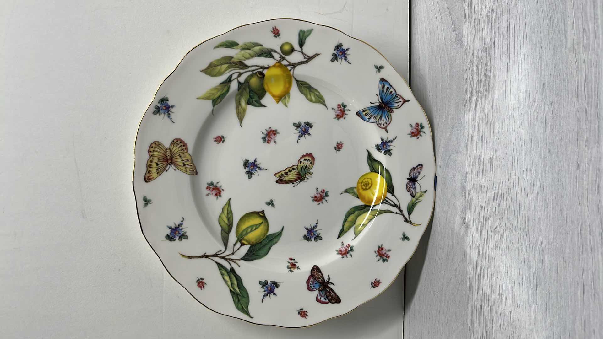 Photo 1 of TANIA BULHOES MARQUESA COLLECTION PORCELAIN 10.5” DINNER PLATE (5)