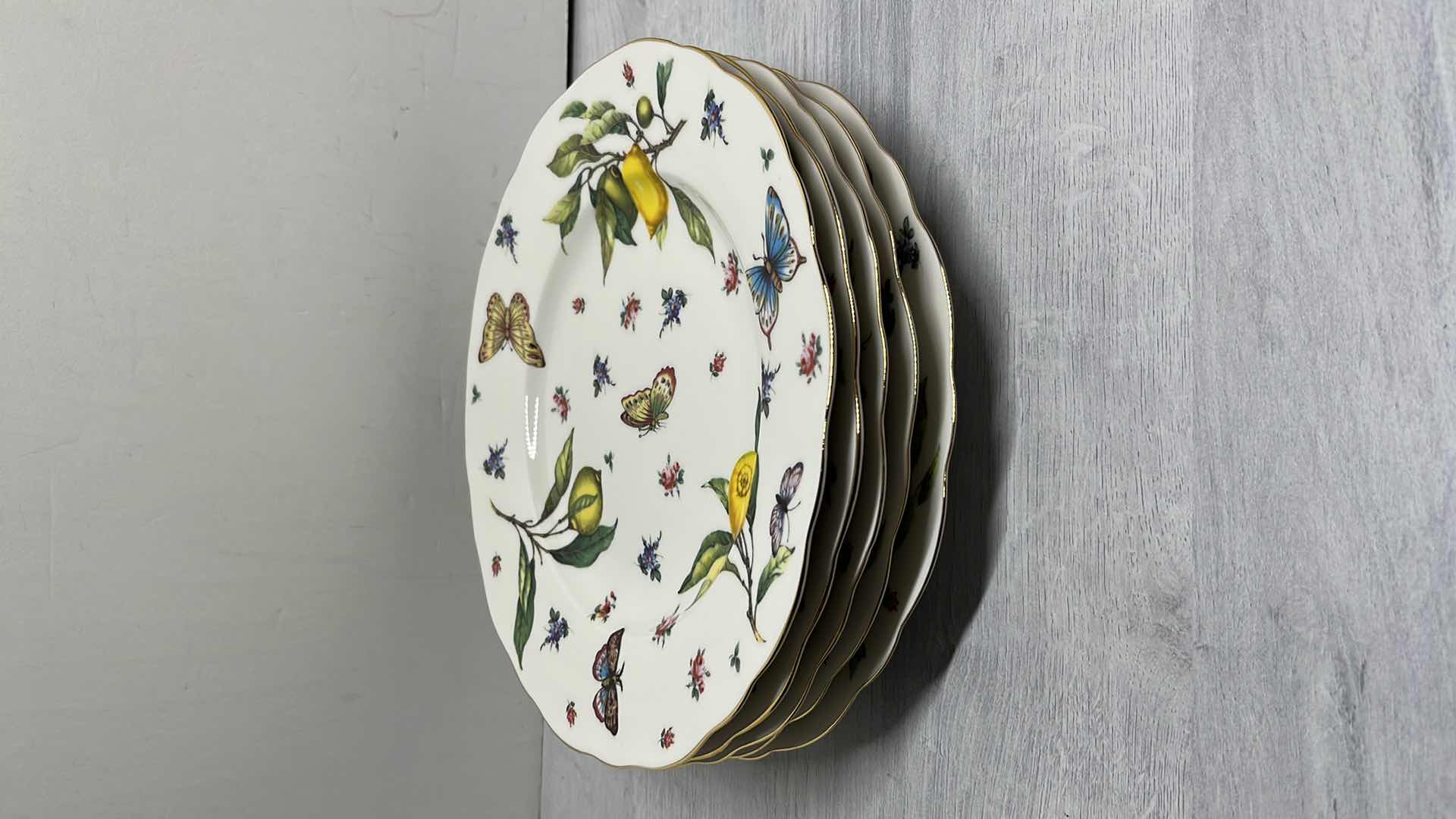 Photo 2 of TANIA BULHOES MARQUESA COLLECTION PORCELAIN 10.5” DINNER PLATE (5)