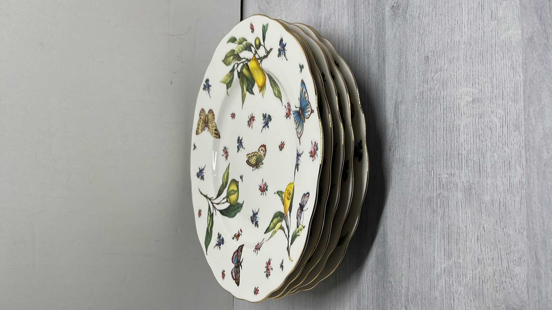 Photo 2 of TANIA BULHOES MARQUESA COLLECTION PORCELAIN 10.5” DINNER PLATE (5)