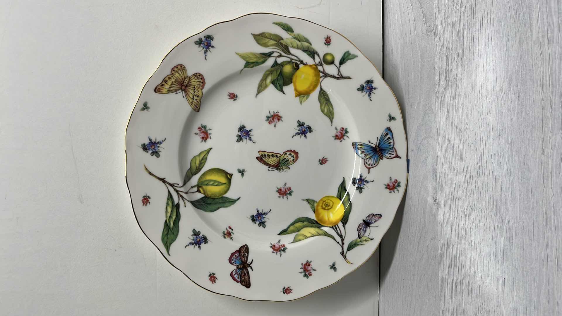 Photo 1 of TANIA BULHOES MARQUESA COLLECTION PORCELAIN 10.5” DINNER PLATE (5)