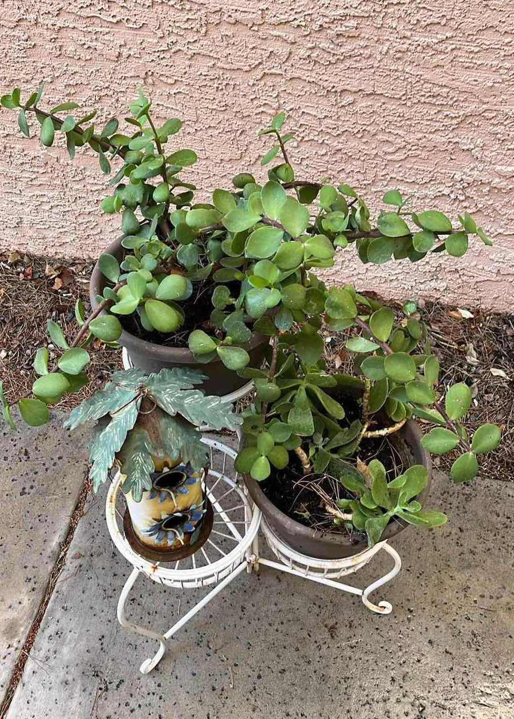 Photo 2 of WHITE METAL FINISH 3 TIER PLANTER STAND W REAL PLANTS & TIN BIRD HOUSE 20” X 18 H24”