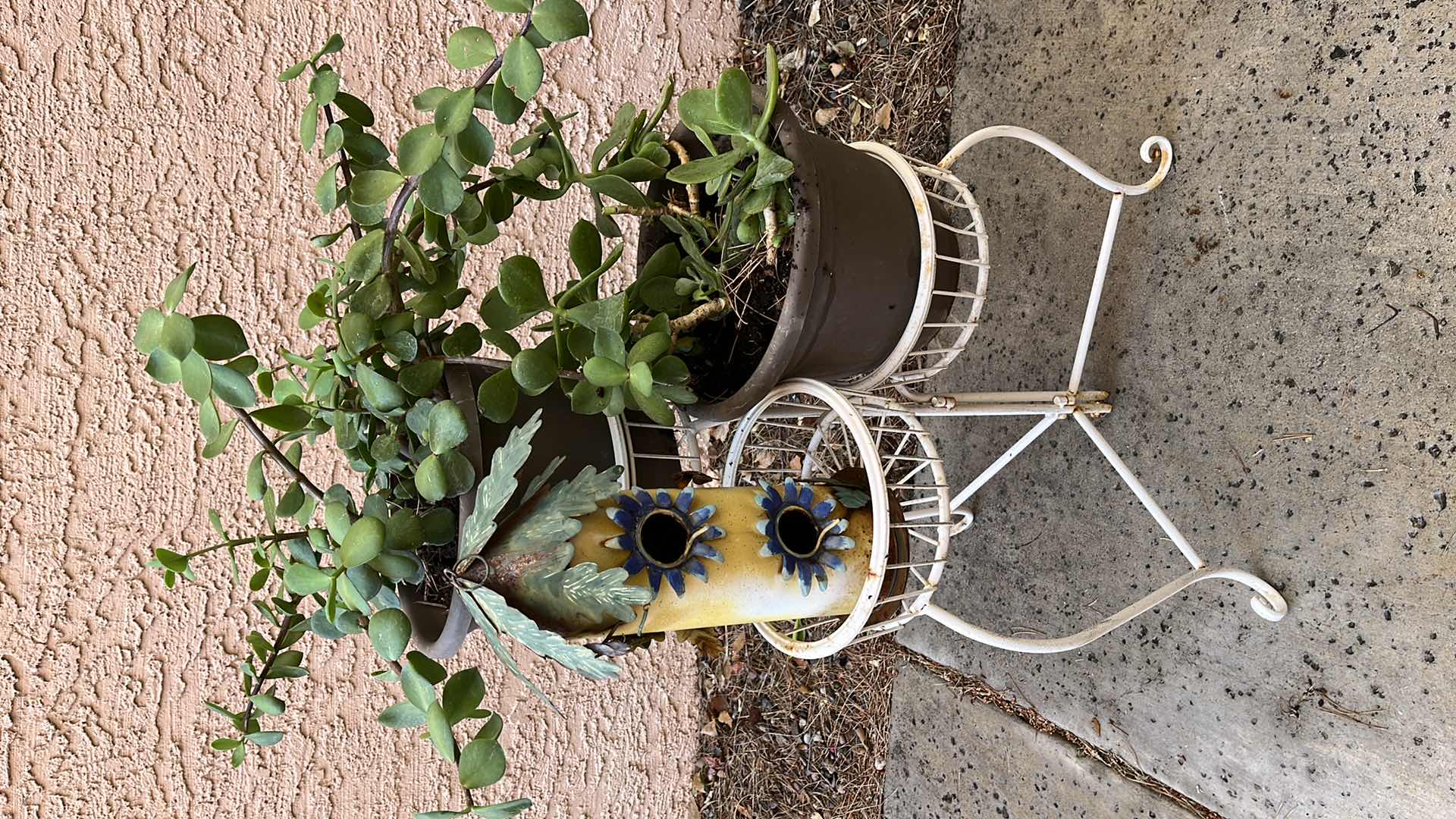 Photo 1 of WHITE METAL FINISH 3 TIER PLANTER STAND W REAL PLANTS & TIN BIRD HOUSE 20” X 18 H24”