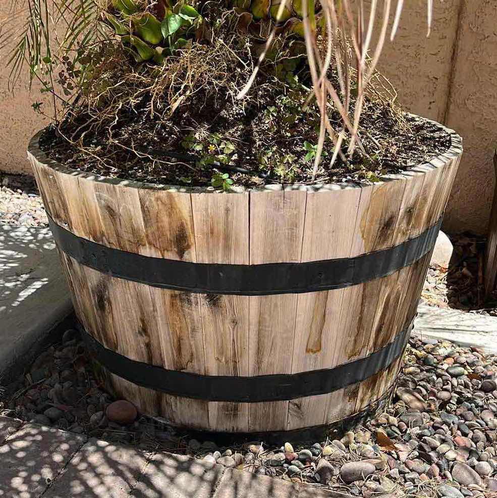 Photo 4 of LIVE DWARF PALM TREE H71” W RUSTIC WOOD PLANTER POT 27” X 16” (READ NOTES)