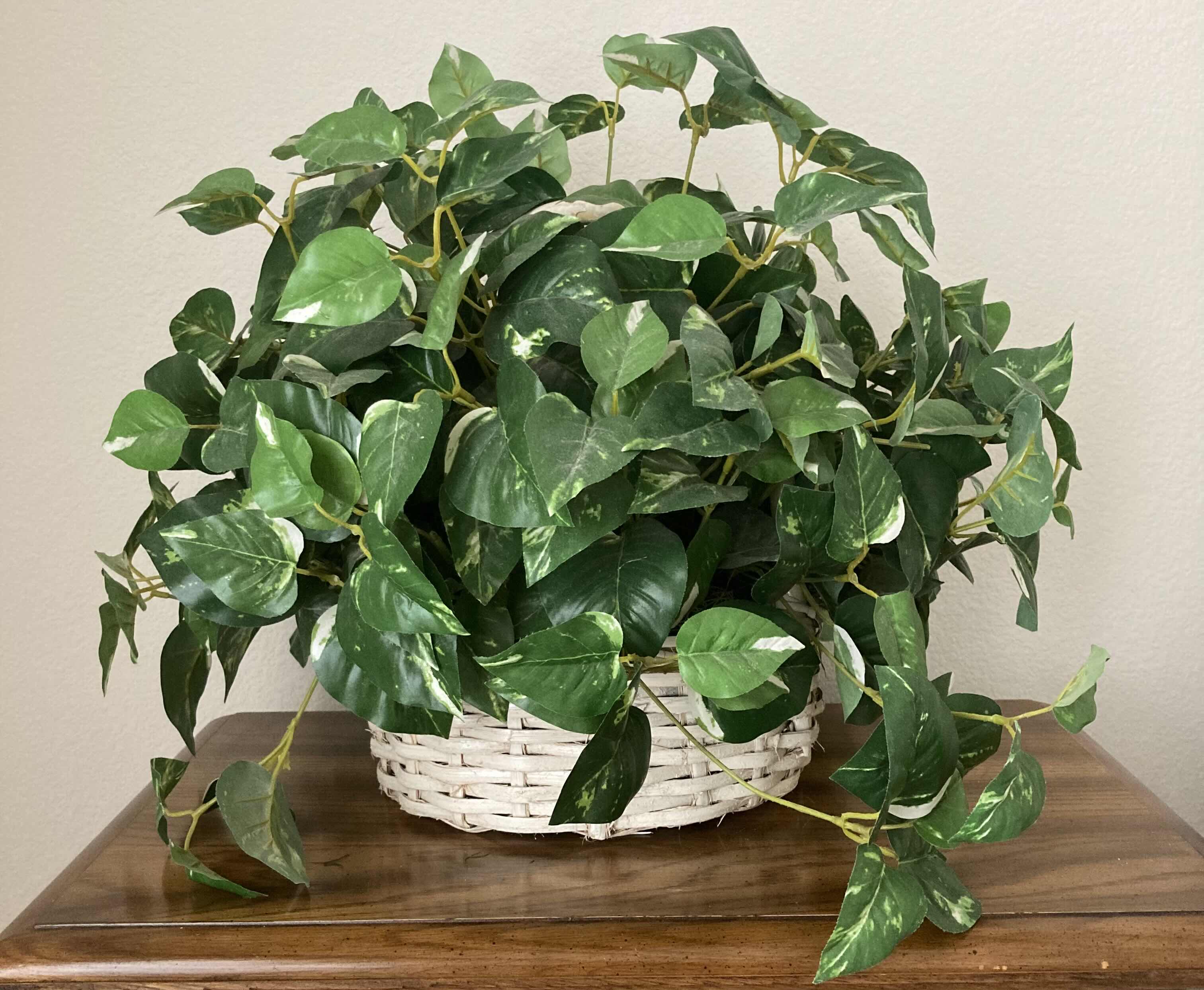 Photo 2 of GOLDEN POTHOS ARTIFICIAL DECORATIVE PLANT W WHITE RATTAN BASKET H17”