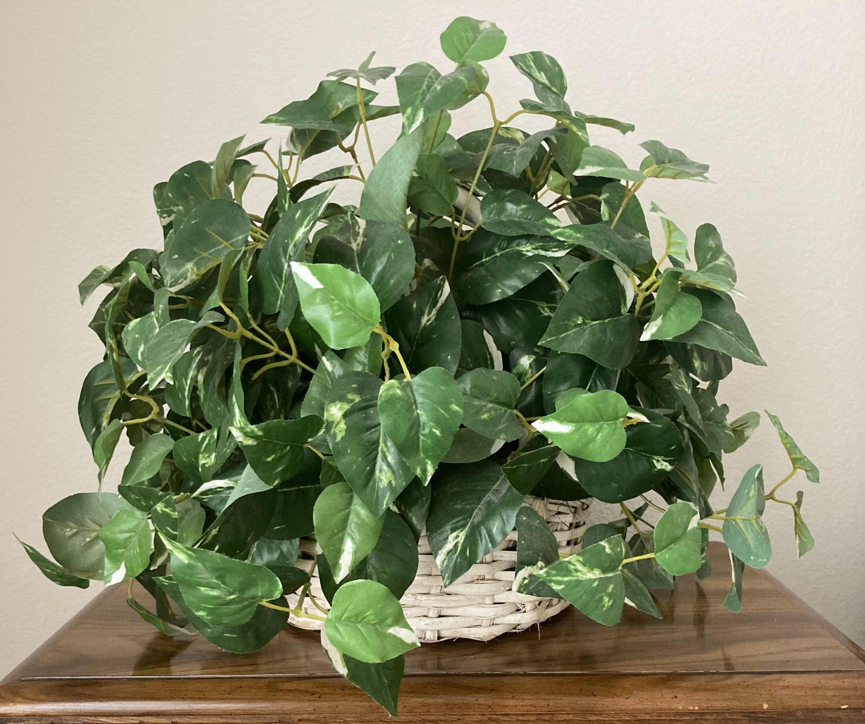 Photo 1 of GOLDEN POTHOS ARTIFICIAL DECORATIVE PLANT W WHITE RATTAN BASKET H17”