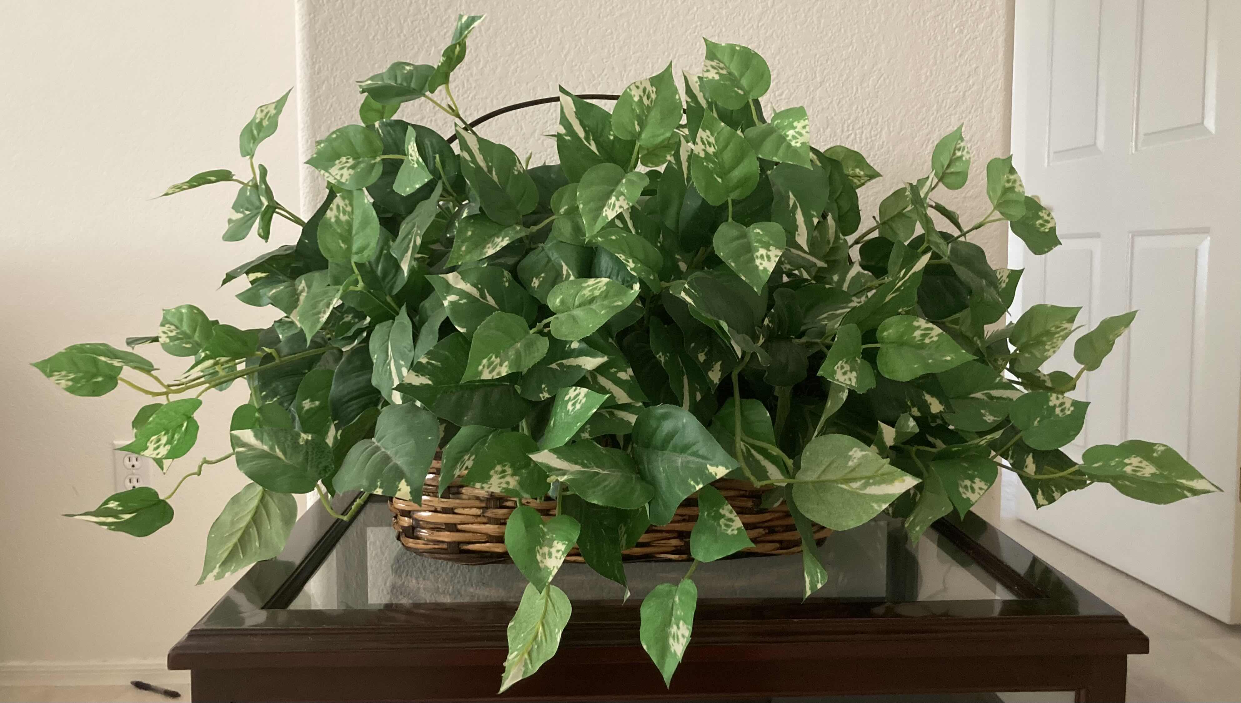 Photo 1 of GOLDEN POTHOS ARTIFICIAL DECORATIVE PLANT W RATTAN BASKET H15.5”