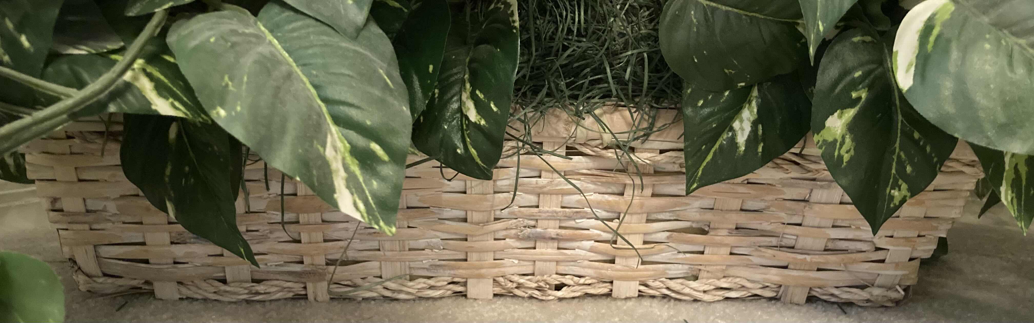 Photo 3 of POTHOS ARTIFICIAL DECORATIVE PLANT W WHITE RATTAN BASKET 40” X H18”