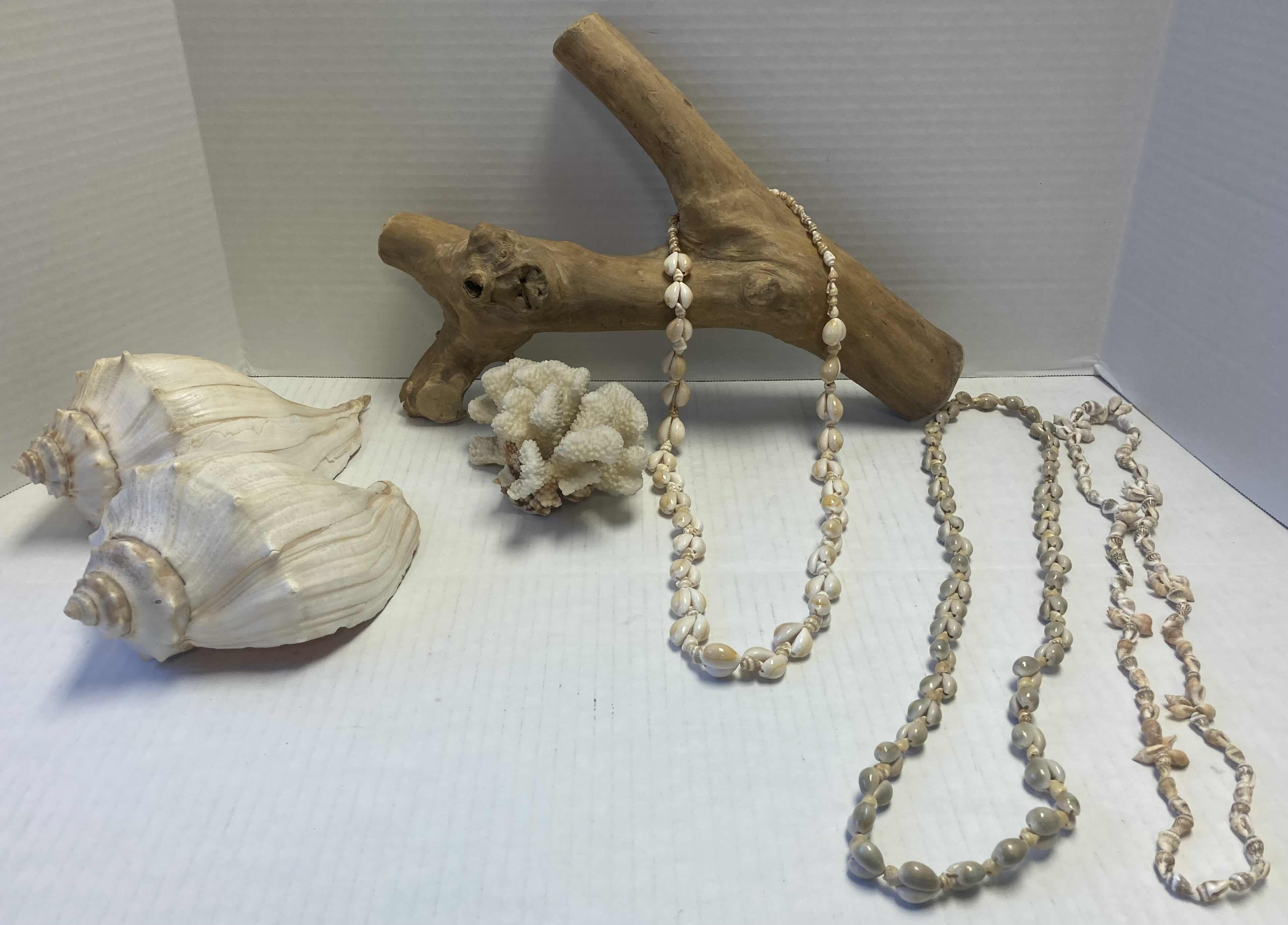 Photo 1 of PETRIFIED WOOD, SEA SHELLS, CORAL & SHELL NECKLACES