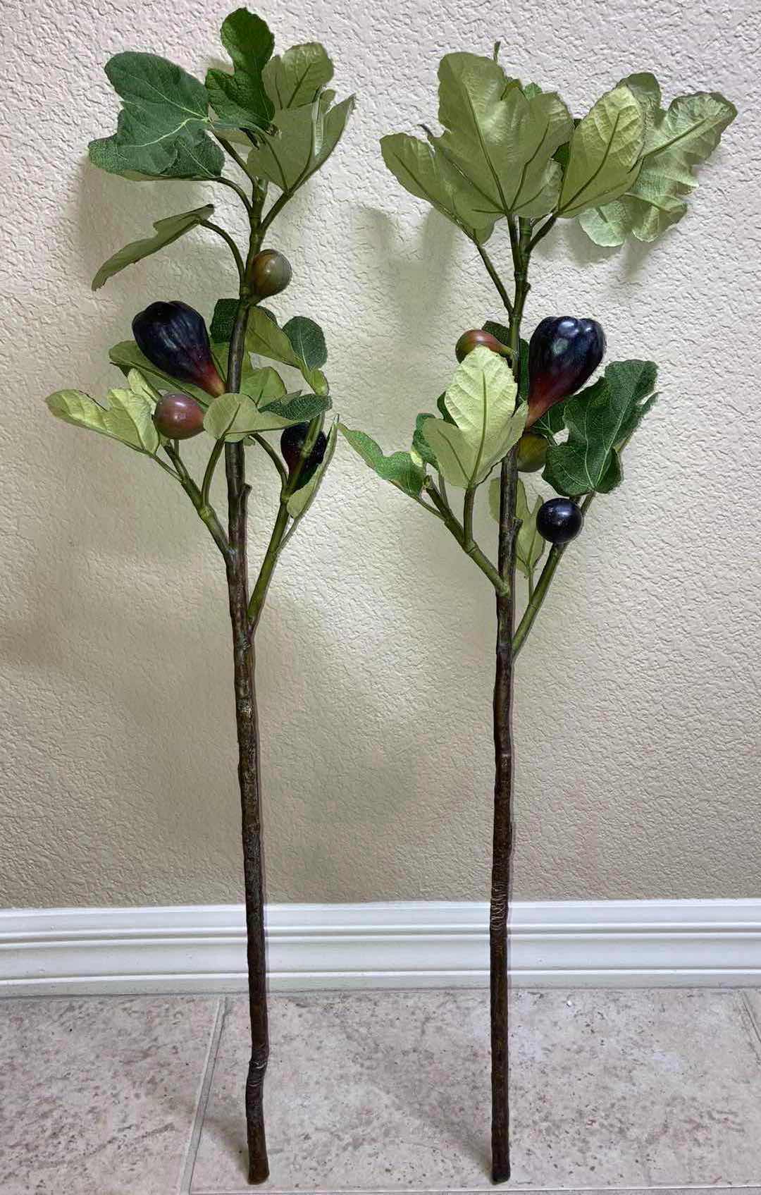 Photo 1 of FIG TREE DECORATIVE VINES 30” (2)