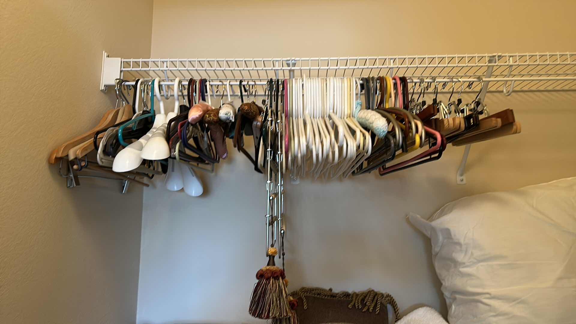 Photo 4 of CONTENTS OF CLOSET