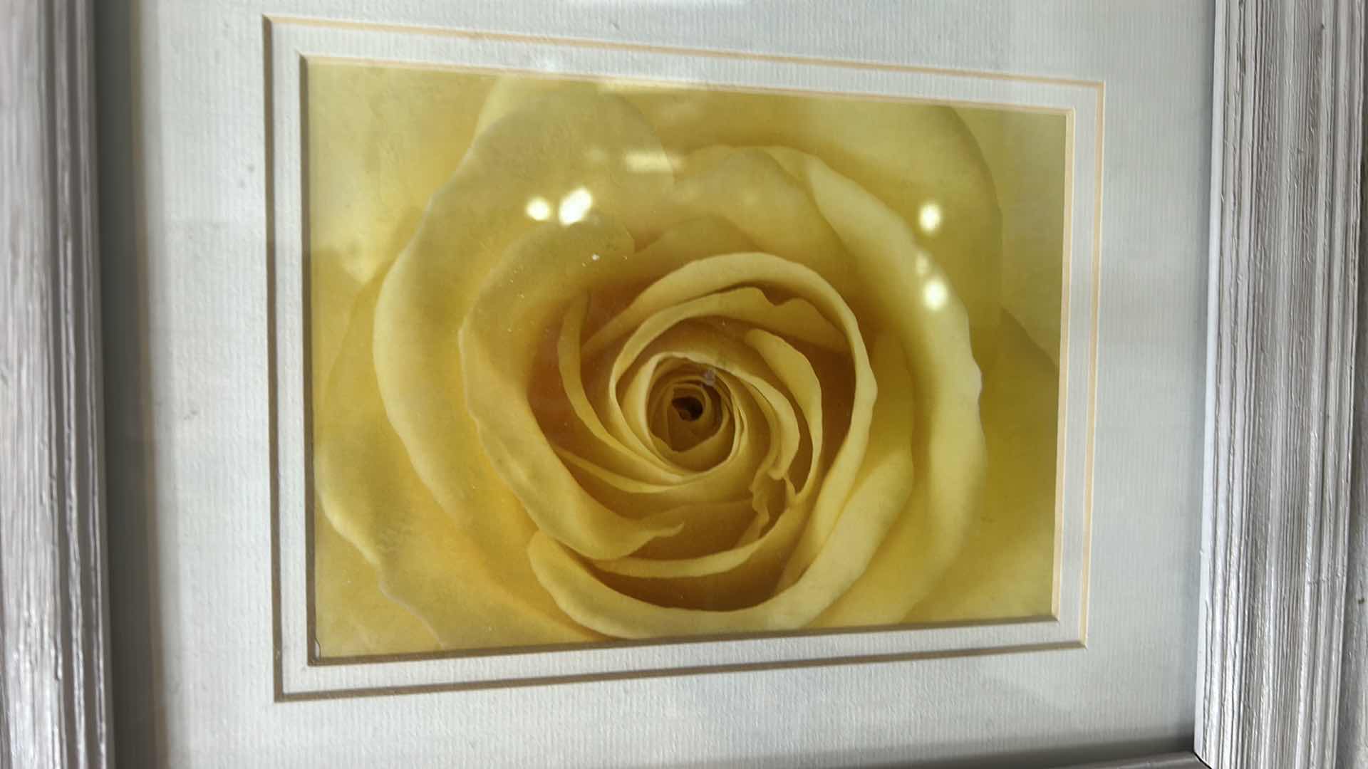 Photo 8 of KITCHEN DECOR - YELLOW ROSE ARTWORK 12 1/2” x 14 1/2”