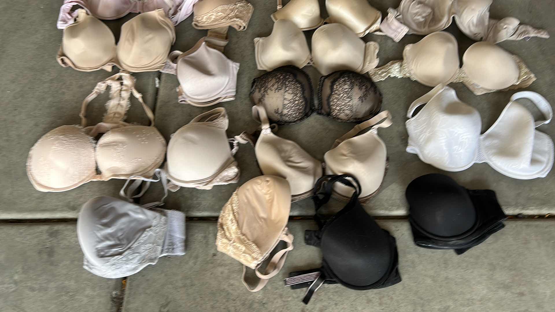 Photo 6 of WOMENS BRAS 36C AND D
