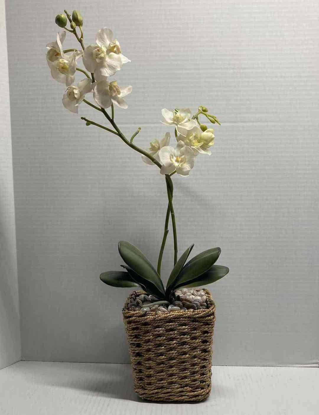 Photo 1 of MOTH ORCHID ARTIFICIAL DECORATIVE PLANT W WOVEN BASKET H24”