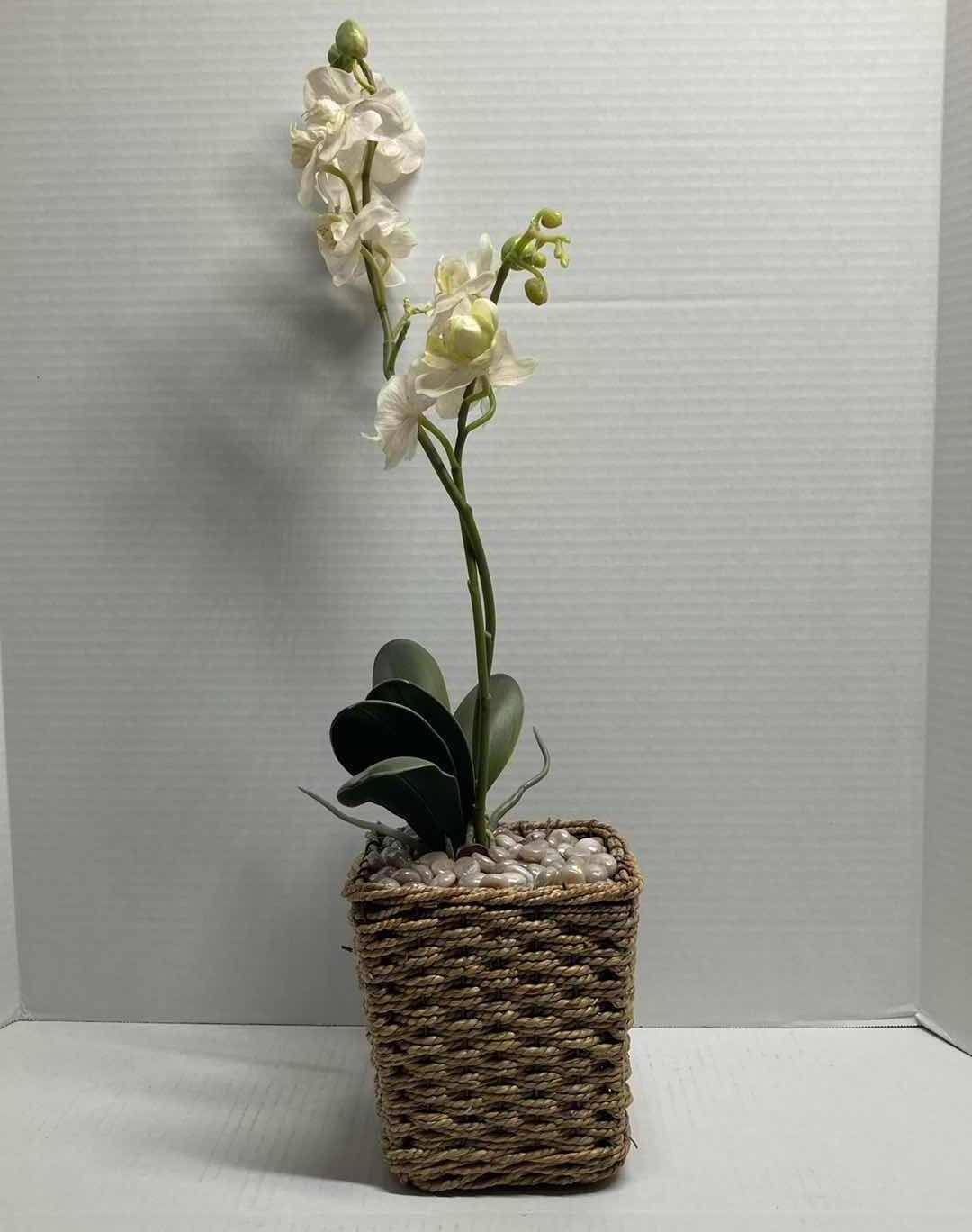 Photo 1 of MOTH ORCHID ARTIFICIAL DECORATIVE PLANT W WOVEN BASKET H24”