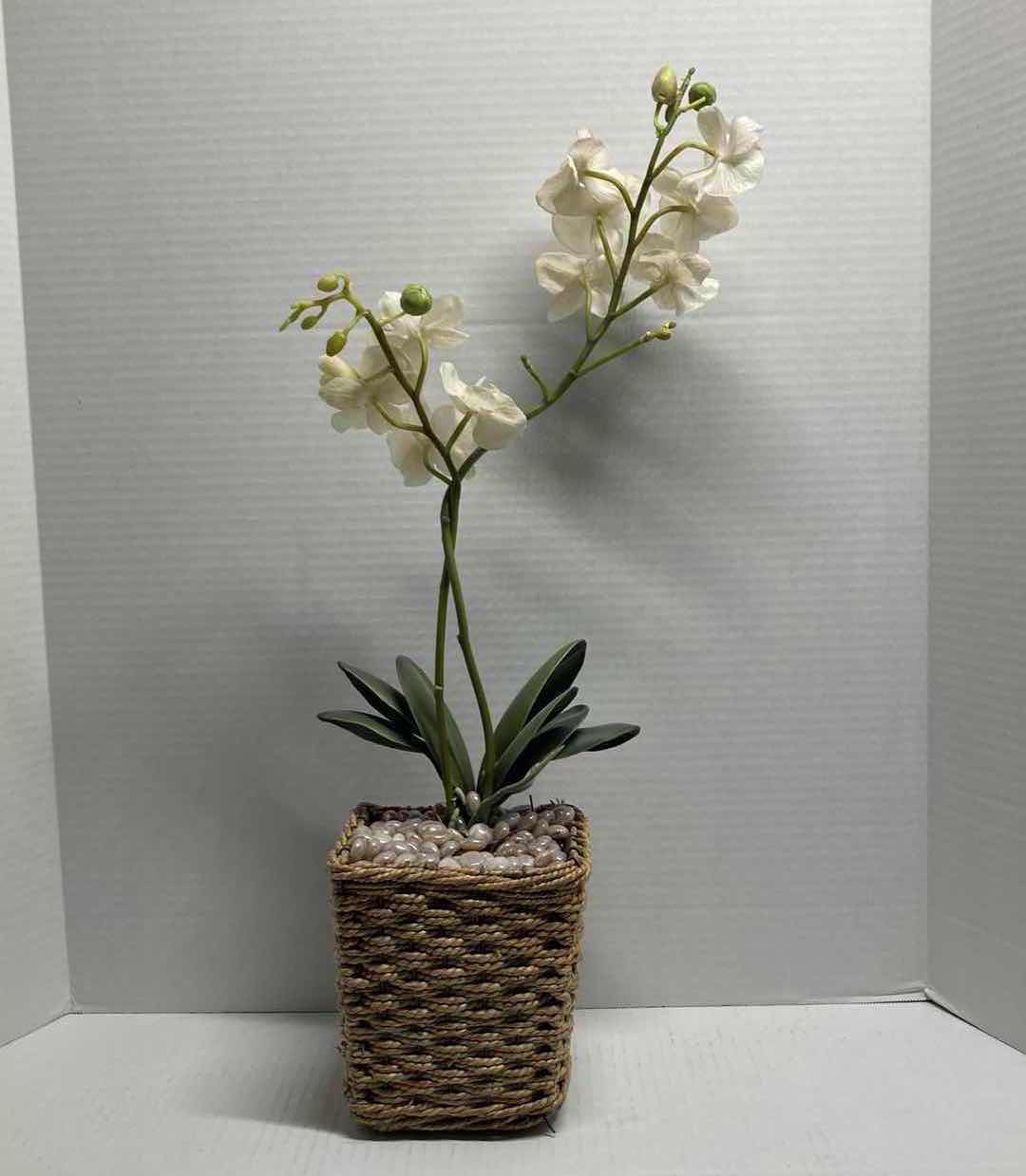 Photo 1 of MOTH ORCHID ARTIFICIAL DECORATIVE PLANT W WOVEN BASKET H24”